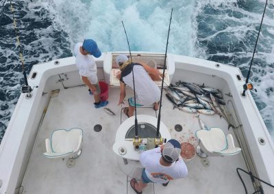 Ft Lauderdale fishing charters