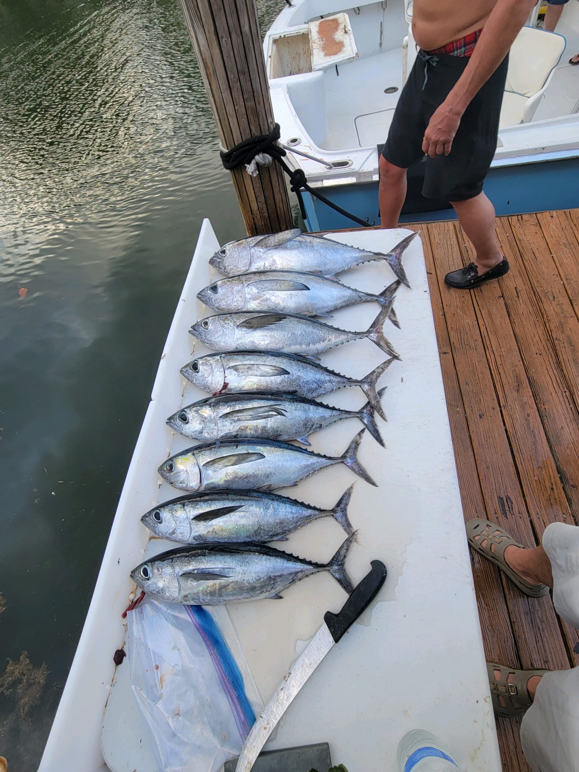 Tuna Fishing Fort Lauderdale Sportfishing Charter